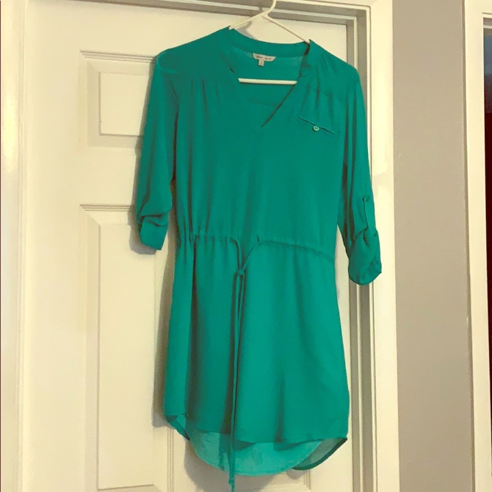 Turquoise Naked Zebra dress